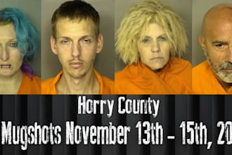 permanently remove mugshots, court case, bad articles, and negative links