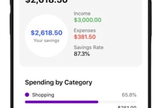 deliver a clean mobile budget and expense tracker app