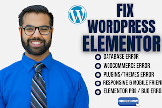 fix wordpress error website fix elementor website issues fix complicated errors