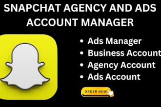 be your snapchat ads manager, run and manage your snapchat ads campaign