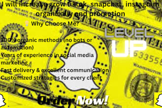 be your snapchat ads manager and snapchat ads marketing to grow your business