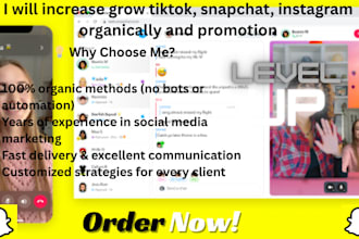 do organic snapchat promotion to reach targeted audience to boost your band
