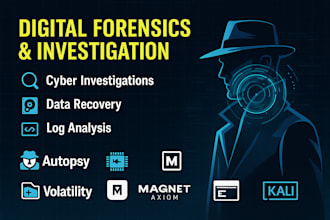 do digital forensics, malware and log analysis, cybercrime investigation