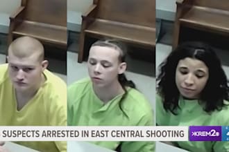 censor false news, mugshots, unwanted content, criminal case and reverse seo
