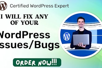fix wordpress errors, fix wordpress bugs or errors, customize wordpress theme
