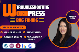 fix wordpress server fix wordpress issues wordpress bug fix wordpress error