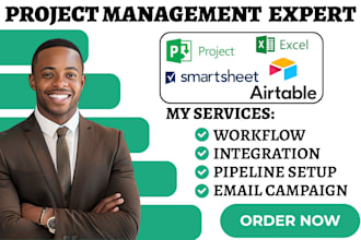 setup expert smartsheet ms microsoft project automation airtable excel database