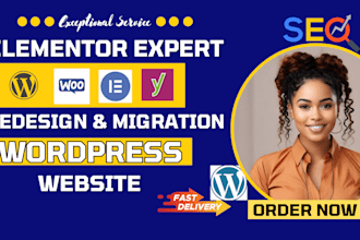 professionally rebuild redesign edit bug fix copy clone your wordpress website