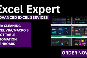 create excel or google sheets dashboard, pivot table, and data analysis