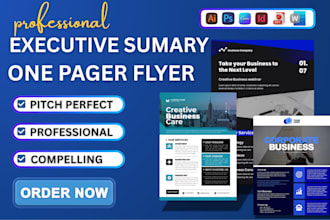 do one pager executive summary report  business flyer investment proposal teaser