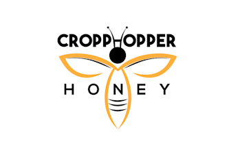 design creative honey bee and spray plane logo
