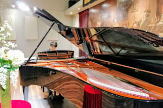 give you personalized piano lessons
