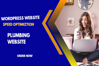 create edit changes speed rebuild wordpress plumbing website