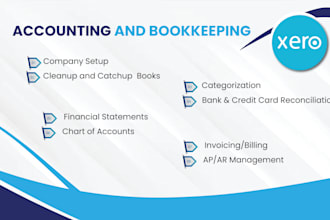 do bookkeeping  and catchup, cleanup and bank reconciliation using xero