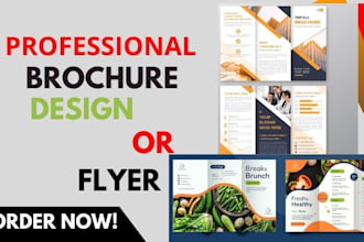 do company profile, annual report,  business brochure trifold proposal booklet
