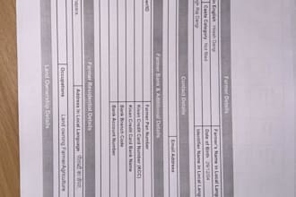 do data entry for companies