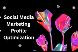 optimize linkedin and fiverr profiles and run ROI driven facebook  instagram ads