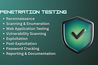 conduct expert web app and api penetration testing with an executive report