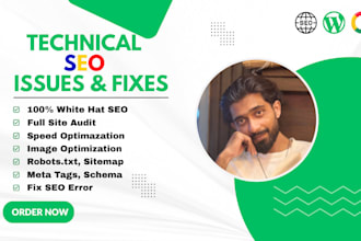 do technical SEO, website audit, indexing, google search console
