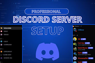 create and setup a professional discord server with bots and roles