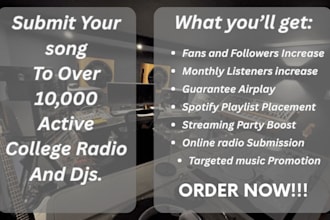 boost your music 10,000 with global dj spins and online radio airplay campaign