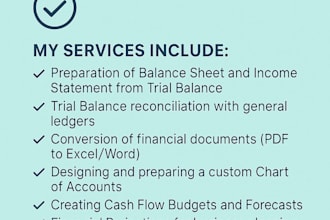 prepare financial statement, profit and loss, cash flows