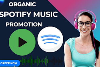 create and setup ads campaign to promote your spotify music