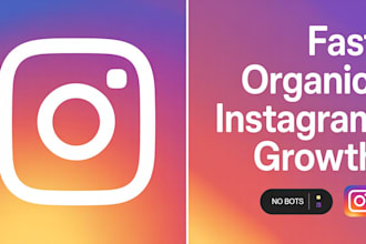 do instagram promotion fast organic growth to increase followers and engagement