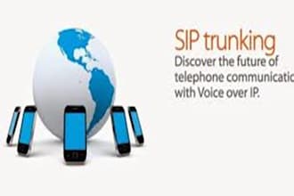 create spoof api for sip trunk configuration, avaya pbx, voip, twilio 3cx did