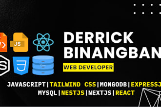 create websites using react, nodejs, sql, firebase, nestjs, and expressjs