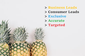 provide USA business leads any category