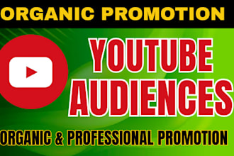 super fast youtube channel promotion, seo expert and video organic views