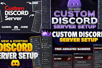 professionally setup new and existing discord server for huge success