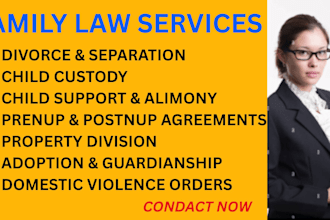 provide divorce settlement, child support, or family litigation services