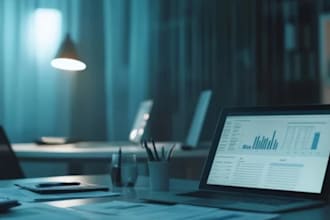 make financial model, budget, forecasting and business plan