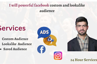 powerful facebook costom and lookalike audience