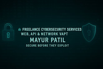 secure your website, API, or network with professional vapt