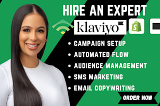 klaviyo welcome flow abandoned cart flow klaviyo expert audit klaviyo SMS