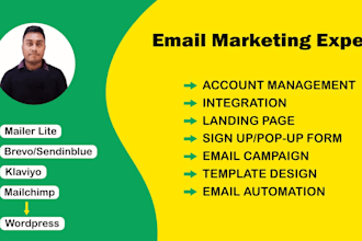 do email marketing campaign run and automation on brevo and klaviyo mailer lite