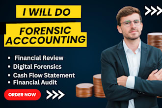 perform forensic accounting fraud audit due diligence