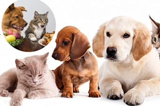 formulate new advance pet food for dogs, cats, pet for personal and business use