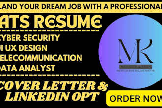 build professional resume writing services for faang, UI, UX, business analysts