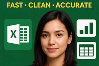 do data entry, excel spreadsheet work, and formatting professionally