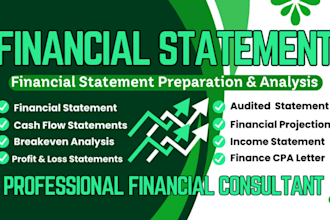 prepare income statement, financial statement, balance sheet, profit and loss