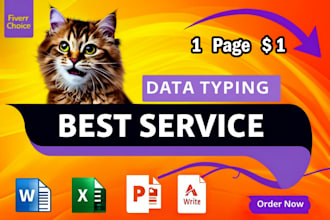 do fast and accurate data entry, web research, excel, and typing work