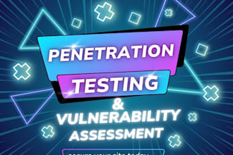 perform penetration test your web application with a detailed report