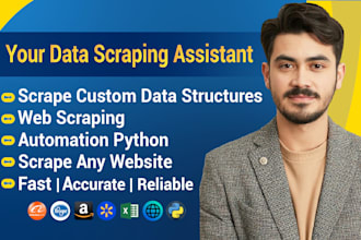 be your data miner, data and web scraper using python