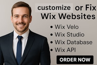 customize or fix wix websites with wix velo, wix studio, wix database, wix API