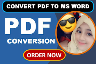 convert PDF to word, excel, data entry, fillable PDF form in 2 hr