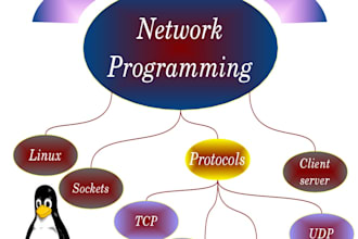 computer networks task in python, java, tcp, udp and report